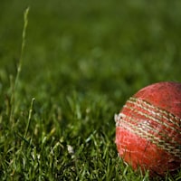 球迷观赛统计数据分析